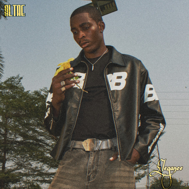 Elegance cover art
